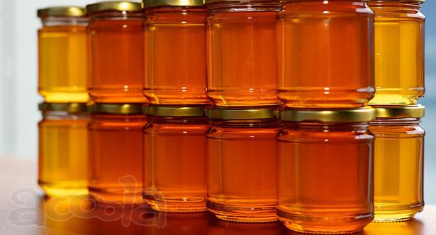 Продам мед. Доставка по всей России